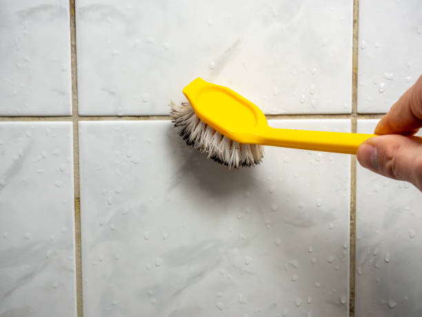 Best Toxic Mold Removal  in Godfrey, IL