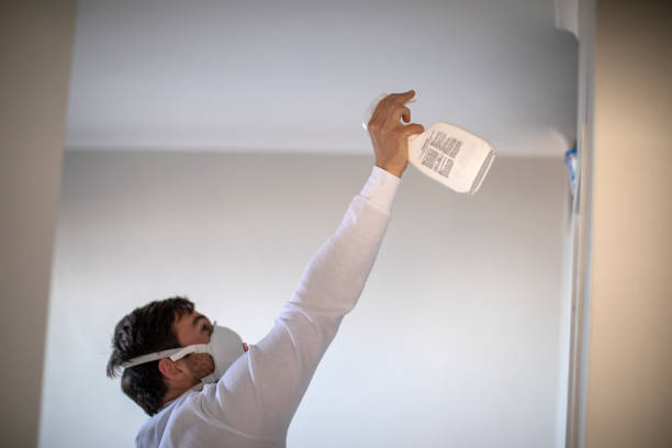Reliable Godfrey, IL Mold Removal Solutions