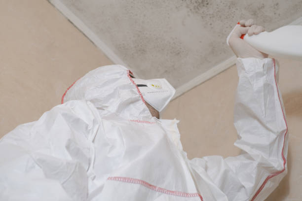 Best Crawl Space Mold Removal  in Godfrey, IL