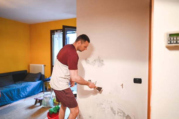 Best Emergency Mold Removal  in Godfrey, IL