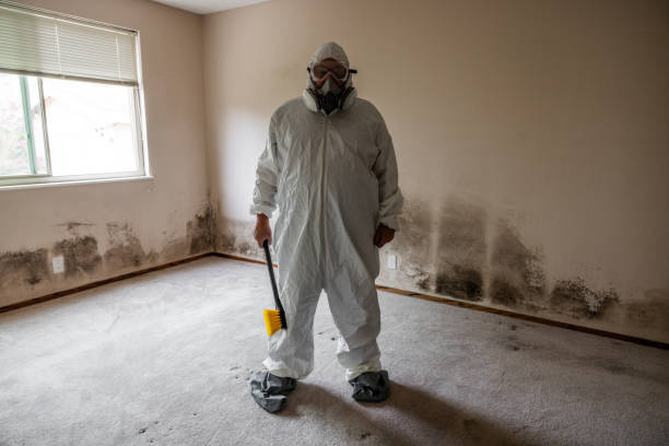 Best Mold Testing  in Godfrey, IL